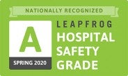 Leapfrog spring 2020