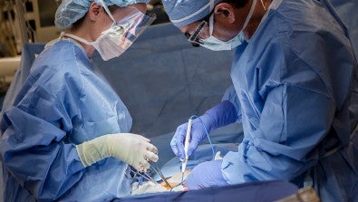 LVHN Kidney Transplant Program at 30