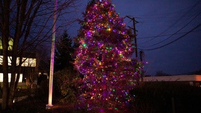 30th Annual Holiday Tree Lighting 