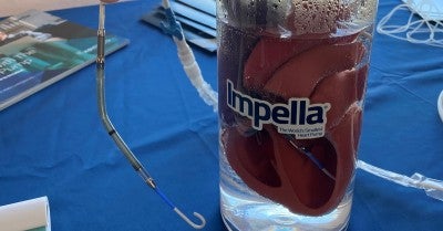 Impella® heart pump