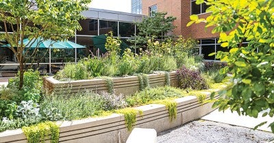 Lehigh Valley Hospital–Muhlenberg Unveils New Community Healing Garden