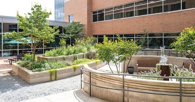 Lehigh Valley Hospital–Muhlenberg Unveils New Community Healing Garden