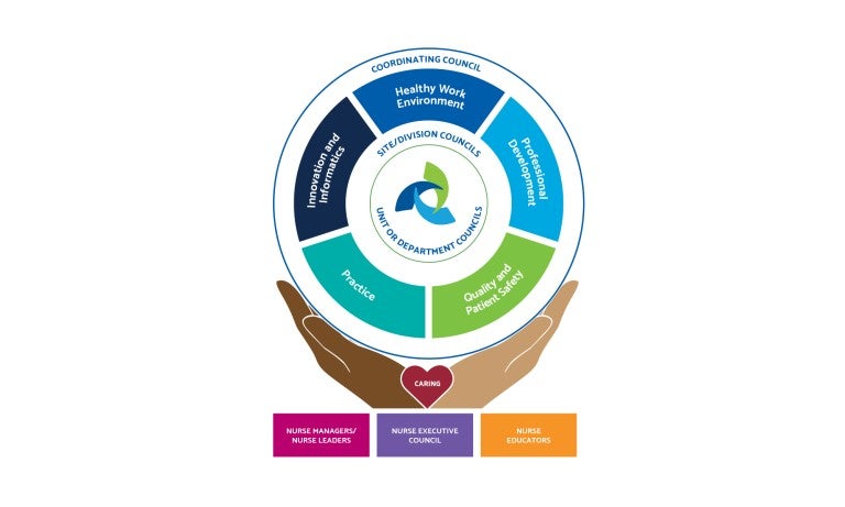 Nursing Professional Practice Model 2024